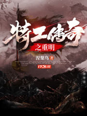 特工传奇在线播放